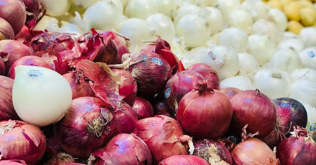 Katera čebula je najbolj koristna